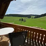 Apartmán Baerenhof Huesli Eisenbach (Breisgau-Hochschwarzwald)