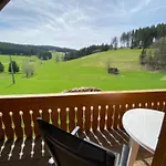 Baerenhof Huesli Eisenbach (Breisgau-Hochschwarzwald)