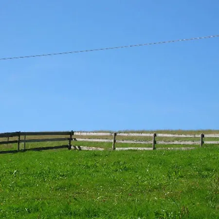 Baerenhof Huesli * Eisenbach (Breisgau-Hochschwarzwald)