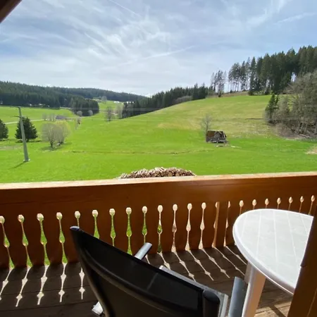 Baerenhof Huesli Eisenbach (Breisgau-Hochschwarzwald)