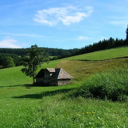 Baerenhof Huesli Eisenbach (Breisgau-Hochschwarzwald)